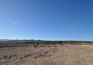 Resale - land -
Pinoso - Pinoso Centro