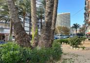 Reventa - Apartamento / piso -
Benidorm - Benidorm Centro