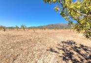 Resale - land -
Monóvar - Monòver - Monóvar - Monòver Centro