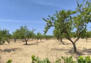 Reventa - land -
Monóvar - Monòver - Monóvar - Monòver Centro