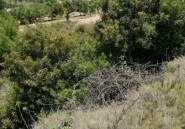 Resale - land -
Calpe - Calpe Centro