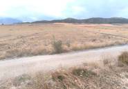 Használt ingatlanok - land -
Jalón - La Solana