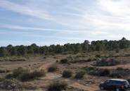 Resale - land -
Pinoso - Pinoso Centro