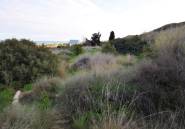 Resale - land -
Guardamar del Segura - Guardamar del Segura Centro