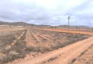 Reventa - land -
Jalón - La Solana