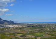 Reventa - land -
Pedreguer - Pedreguer Centro