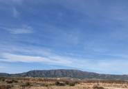 Resale - land -
Pinoso - Pinoso Centro