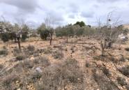 Resale - country house -
La Romana - La Romana Centro