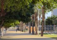 Használt ingatlanok - Apartman / lakás -
Villajoyosa - Villajoyosa Centro