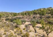 Resale - land -
Monóvar - Monòver - Monóvar - Monòver Centro