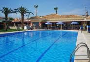 Használt ingatlanok - Villa -
Torrevieja - Torrevieja Centro