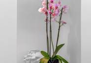 Resale - Villa -
Guardamar del Segura - Guardamar del Segura Centro