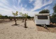 Resale - land -
Elche - Elche Centro