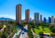 Reventa - Apartamento / piso -
Benidorm - Benidorm Centro