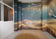 Használt ingatlanok - Commercial property -
Torrevieja - Torrevieja Centro