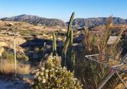 Resale - land -
Relleu - Relleu Centro