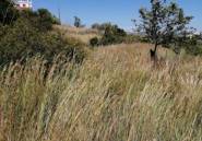 Resale - land -
Calpe - Calpe Centro