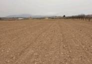 Reventa - land -
Pinoso - Pinoso Centro