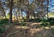 Reventa - land -
Calpe - Calpe Centro