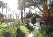 Resale - Villa -
Torrevieja - El chaparral