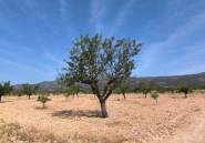 Használt ingatlanok - land -
Monóvar - Monòver - Monóvar - Monòver Centro