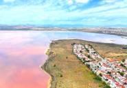 Resale - Town House -
Torrevieja - Torrevieja Centro