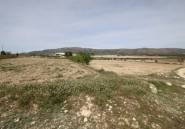 Reventa - country house -
Monóvar - Monòver - Monóvar - Monòver Centro