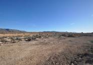 Használt ingatlanok - land -
Pinoso - Pinoso Centro