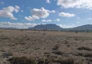 Resale - land -
Salinas - Salinas Centro