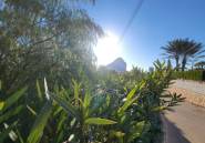 Használt ingatlanok - land -
Calpe - Calpe Centro