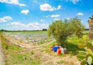 Resale - country house -
San Isidro - San Isidro Centro