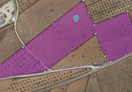 Reventa - land -
Pinoso - Pinoso Centro