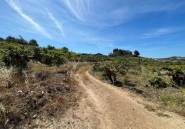 Resale - land -
Callosa d'en Sarria - Callosa d'en Sarria Centro