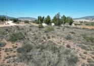 Reventa - land -
Pinoso - Pinoso Centro