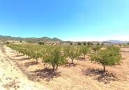 Resale - land -
Monóvar - Monòver - Monóvar - Monòver Centro