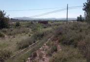 Reventa - land -
Novelda - Novelda Centro