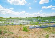 Resale - country house -
San Isidro - San Isidro Centro