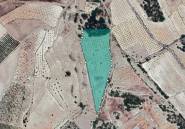 Resale - land -
Monóvar - Monòver - Monóvar - Monòver Centro