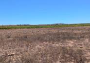 Resale - land -
Pinoso - Lel