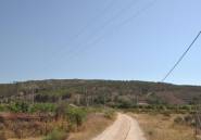 Resale - land -
Pinoso - Pinoso Centro