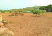 Reventa - land -
Aspe - Aspe Centro