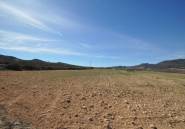 Reventa - land -
Salinas - Salinas Centro