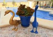 Reventa - Villa -
Rojales - Benimar