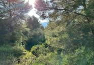 Resale - land -
Calpe - Calpe Centro