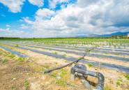 Resale - country house -
San Isidro - San Isidro Centro