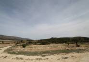 Reventa - country house -
Monóvar - Monòver - Monóvar - Monòver Centro