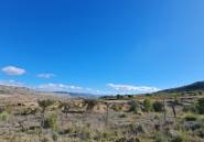 Resale - land -
La Romana - La Romana Centro