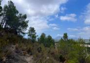 Reventa - land -
Altea - Altea Centro