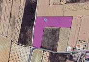 Használt ingatlanok - land -
Pinoso - Pinoso Centro