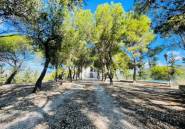 Használt ingatlanok - country house -
Jijona - Xixona - Jijona - Xixona Centro